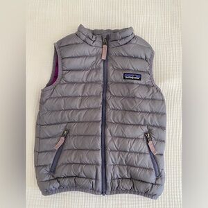 Patagonia down sweater vest